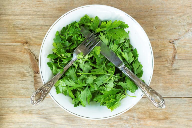 a bowl of fresh cilantro