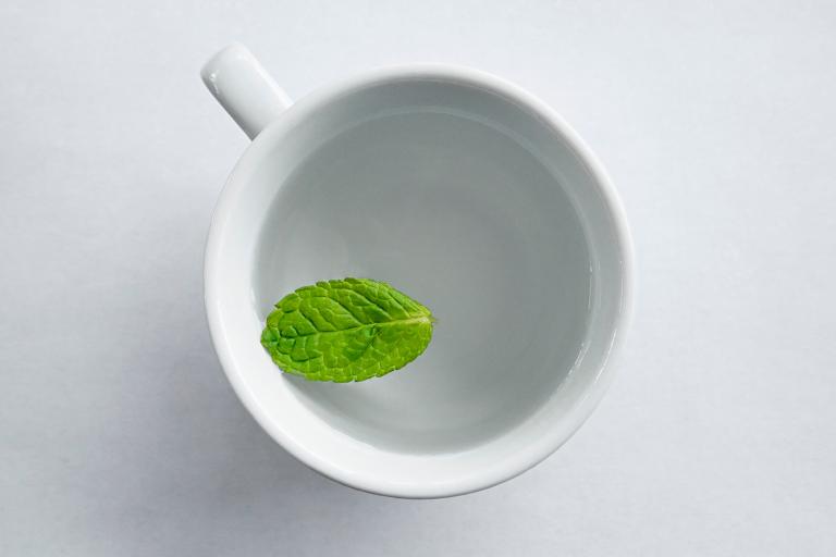 a mint leaf floating in a mug of water